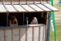 Thumbs/tn_Foute Cross 2017 083.jpg